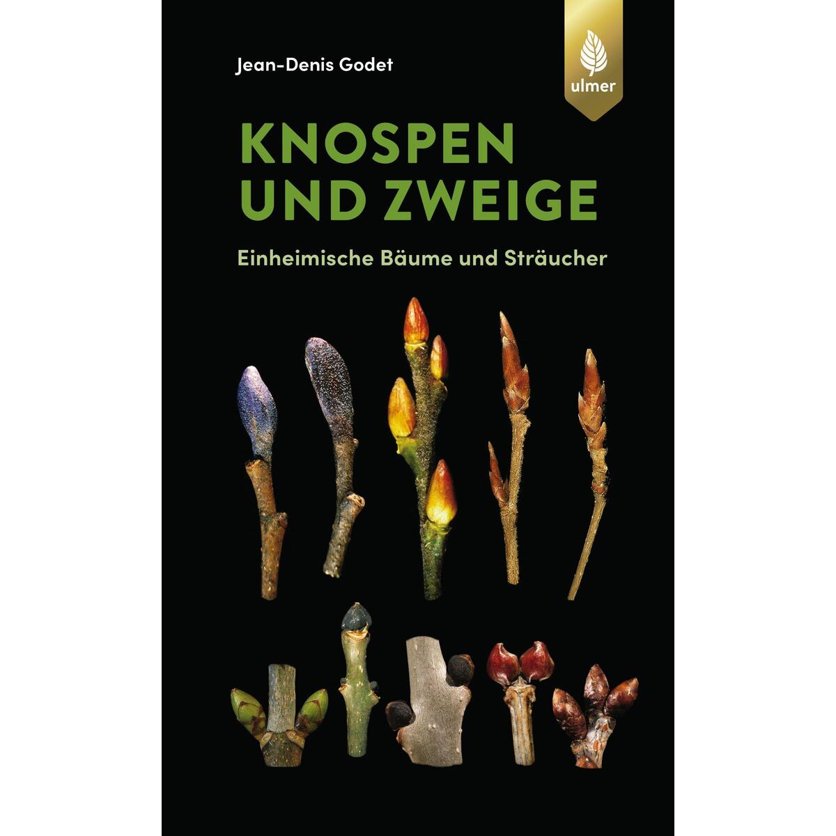 Knospen und Zweige von Ulmer Eugen Verlag