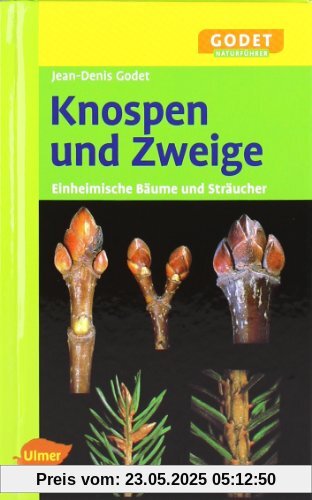 Knospen und Zweige - Einheimische Bäume und Sträucher