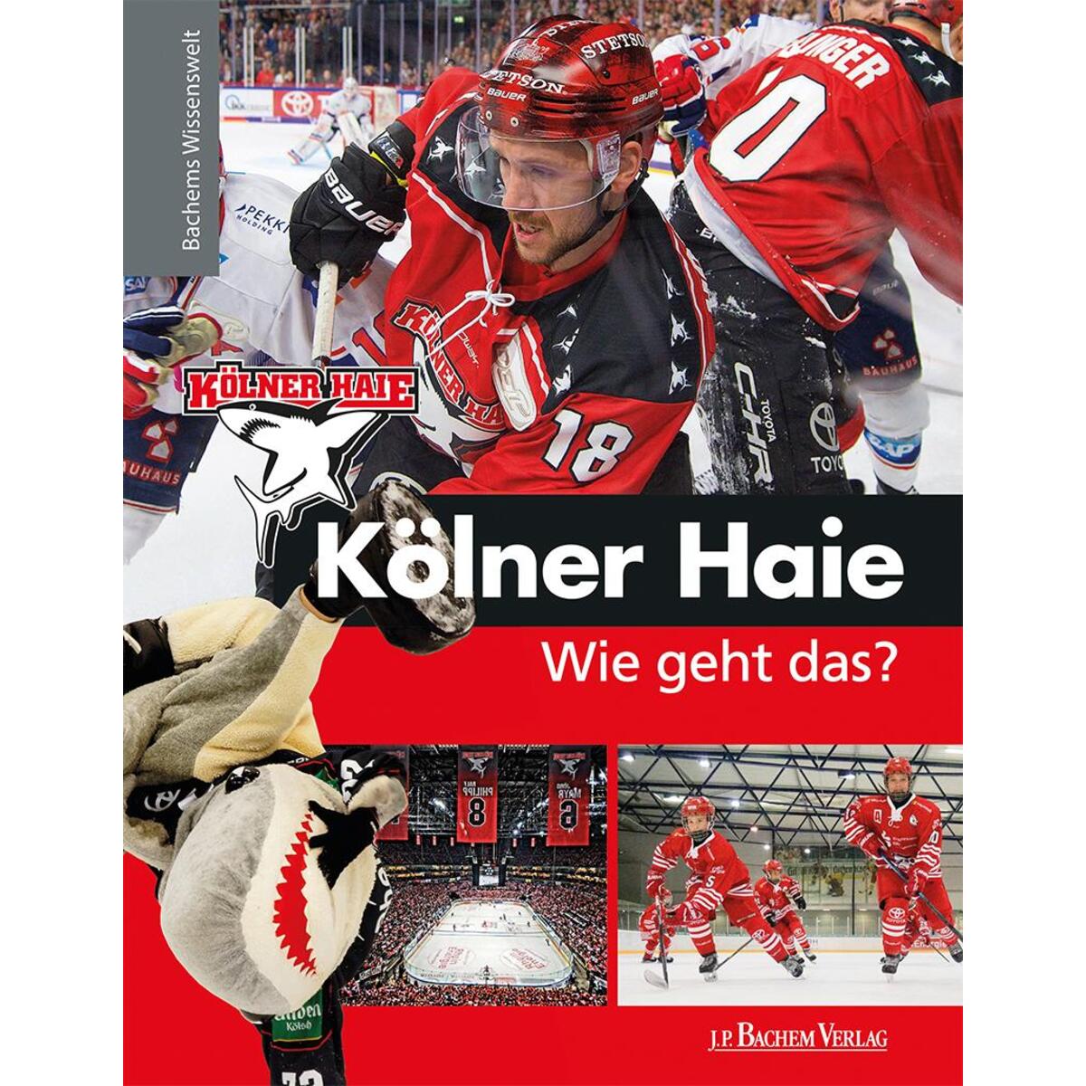 Kölner Haie - Wie geht das? von Bachem J.P. Verlag