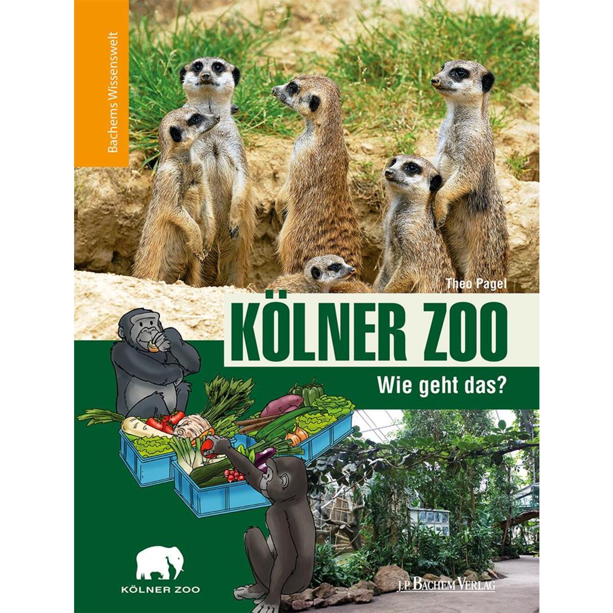 Kölner Zoo - Wie geht das? von Bachem J.P. Verlag