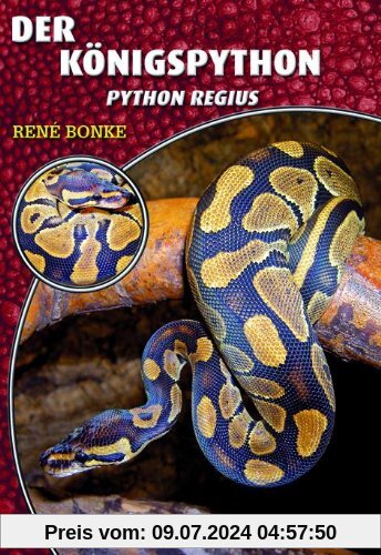 Königspython: Python regius