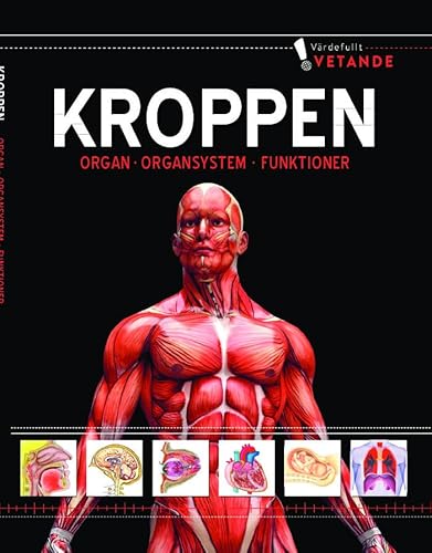 Körper: Organe, Körpersysteme, Funktionen