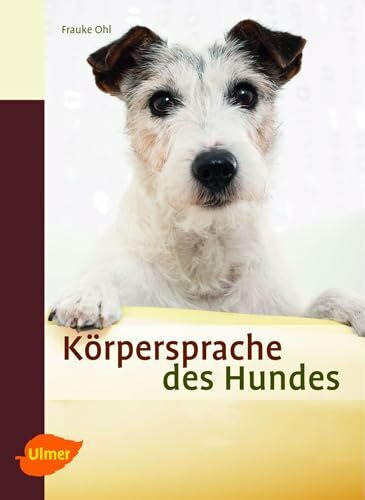 Körpersprache des Hundes: Ausdrucksverhalten erkennen und verstehen Körpersprache des Hundes: Ausdrucksverhalten erkennen und verstehen