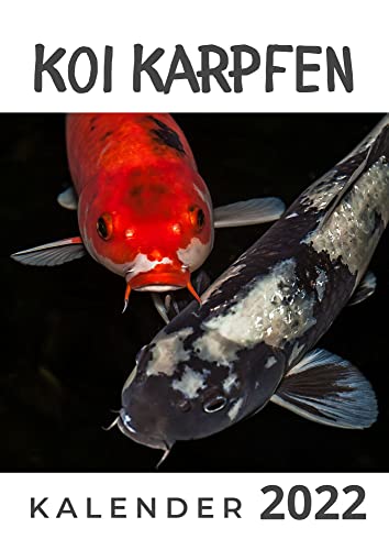 Koi Karpfen: Kalender 2022