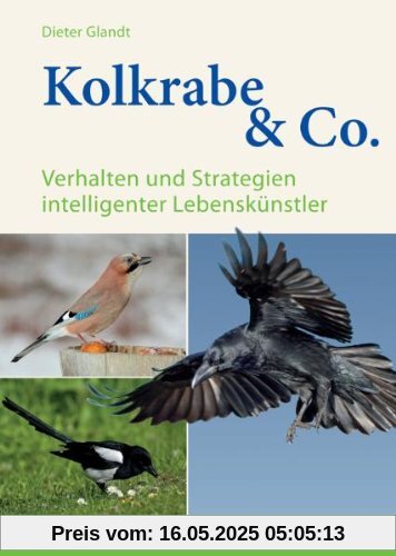 Kolkrabe & Co.: Verhalten und Strategien intelligenter Lebenskünstler Kolkrabe & Co.: Verhalten und Strategien intelligenter Lebenskünstler