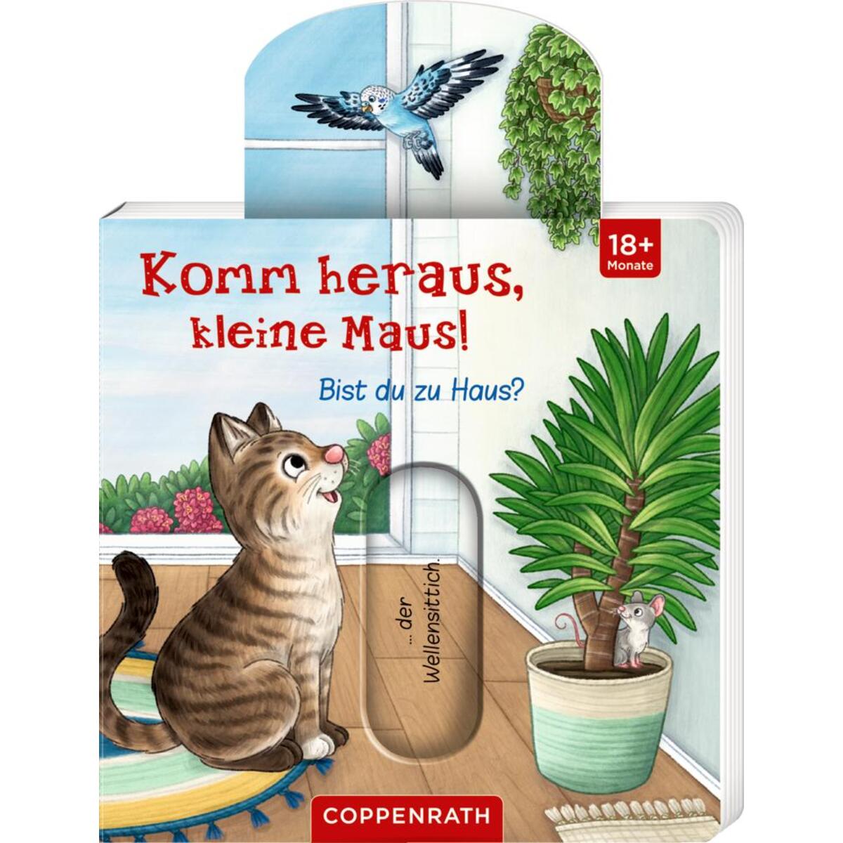 Komm heraus, kleine Maus!: Bist du zu Haus? von Coppenrath F