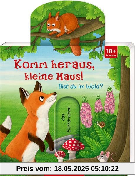 Komm heraus, kleine Maus! Bist du im Wald?