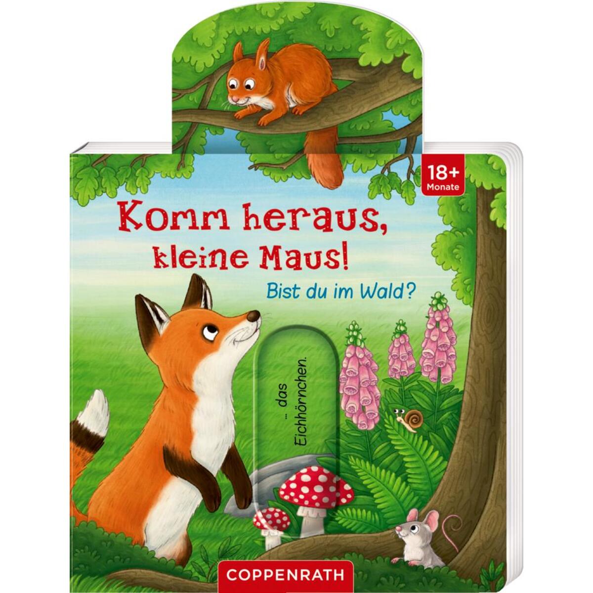 Komm heraus, kleine Maus! Bist du im Wald? von Coppenrath