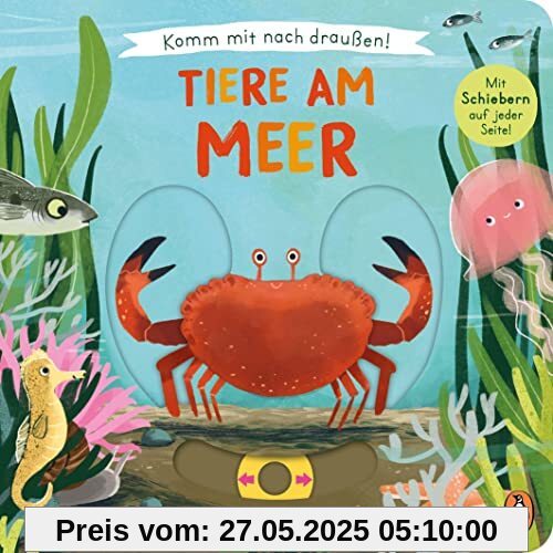 Komm mit nach draußen! - Tiere am Meer: Pappbilderbuch mit vielen Schiebern und Auszugsseiten ab 2 Jahren (Die Komm-mit-nach-draußen!-Reihe, Band 1)