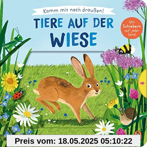 Komm mit nach draußen! - Tiere auf der Wiese: Pappbilderbuch mit vielen Schiebern und Auszugsseiten ab 2 Jahren (Die Komm-mit-nach-draußen!-Reihe, Band 2)