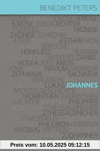 Kommentar zum Johannes-Evangelium