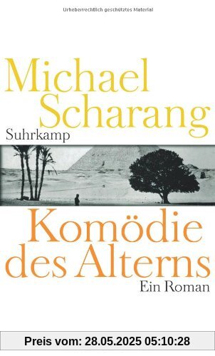 Komödie des Alterns: Ein Roman Komödie des Alterns: Ein Roman