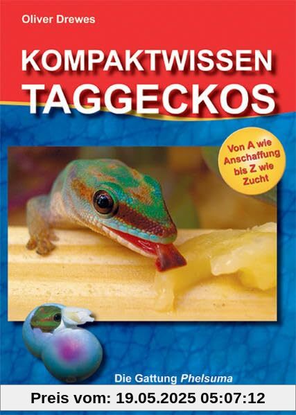 Kompaktwissen Taggeckos: Die Gattung Phelsuma. Porträts der beliebtesten Arten. Von A wie Anschaffung bis Z wie Zucht