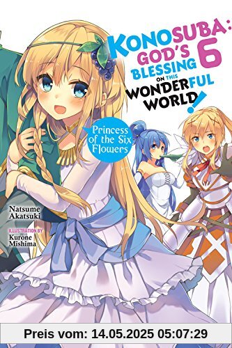 Konosuba: God's Blessing on This Wonderful World!, Vol. 6 (light novel) (Konosuba (light novel), Band 6)