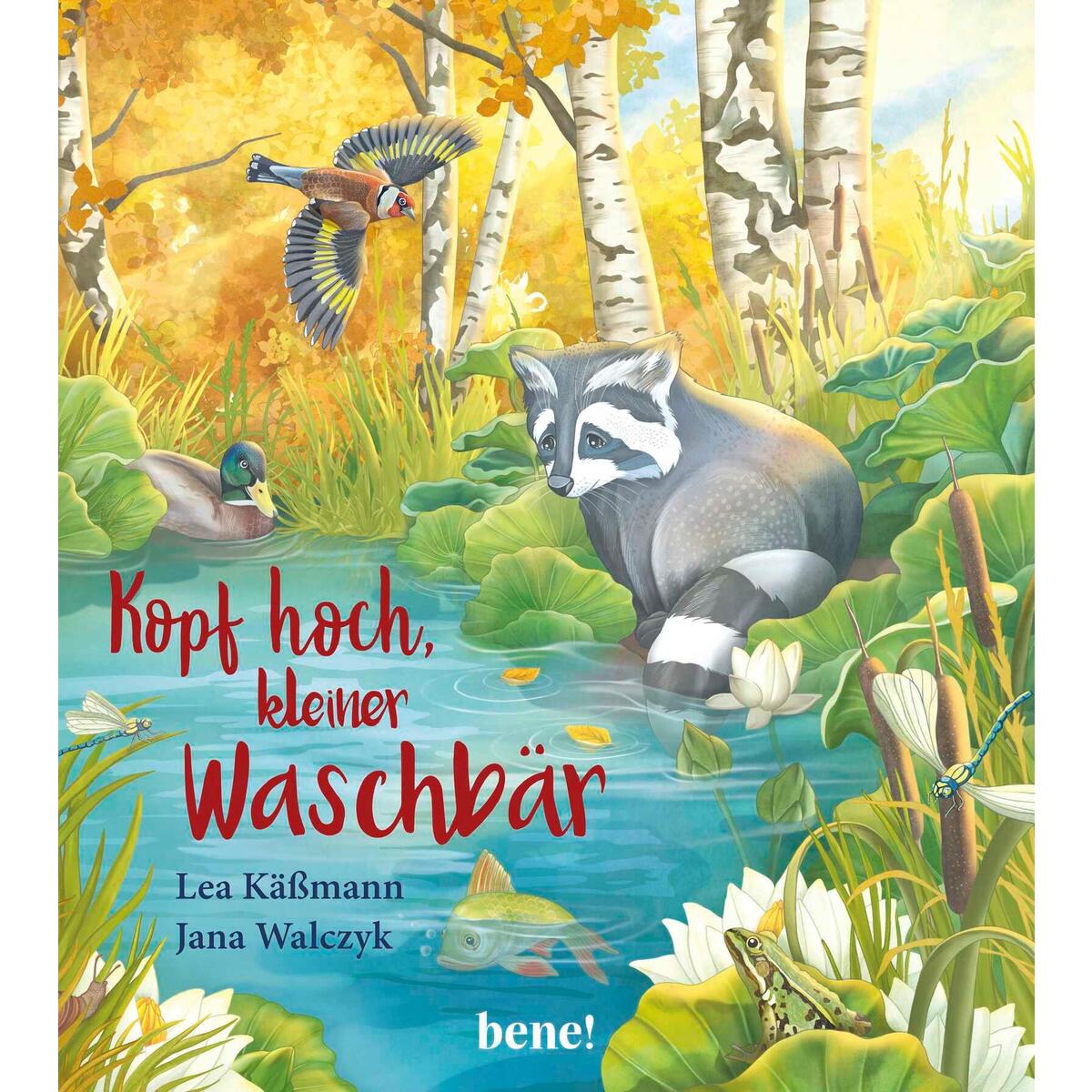 Kopf hoch, kleiner Waschbär von bene!