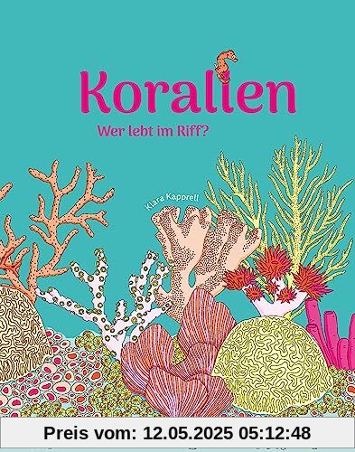 Korallen: Wer lebt im Riff?