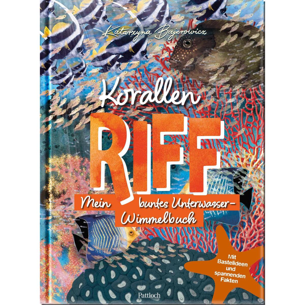 Korallenriff Korallenriff von Pattloch Geschenkbuch