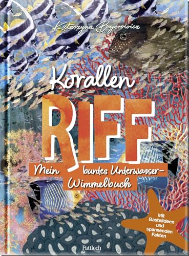 Korallenriff: Mein buntes Unterwasser-Wimmelbuch | ab 4 Jahren, mit Bastelideen und spannenden Fakten (Geschenke für alle, die das Meer lieben) von Pattloch Geschenkbuch