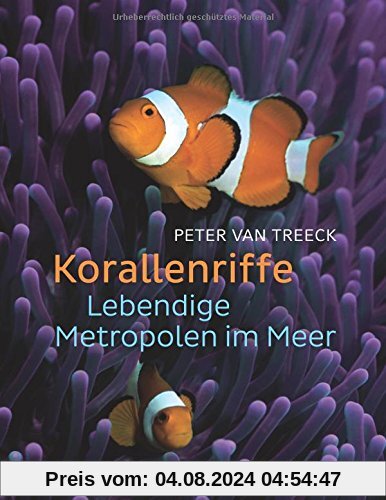 Korallenriffe: Lebendige Metropolen im Meer