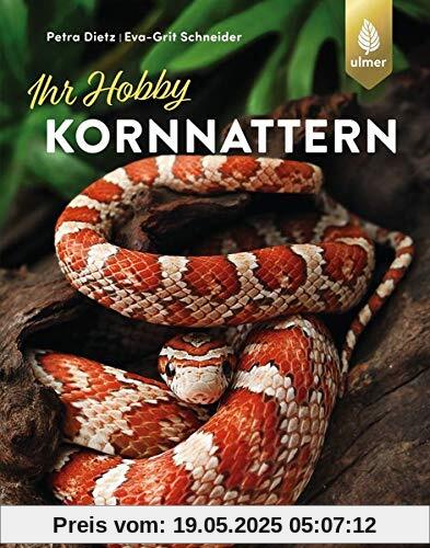 Kornnattern
