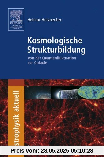 Kosmologische Strukturbildung: Von der Quantenfluktuation zur Galaxie (Astrophysik aktuell)