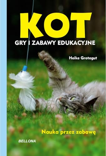 Kot Gry i zabawy edukacyjne von Bellona