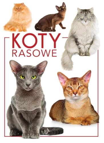 Koty rasowe von SBM