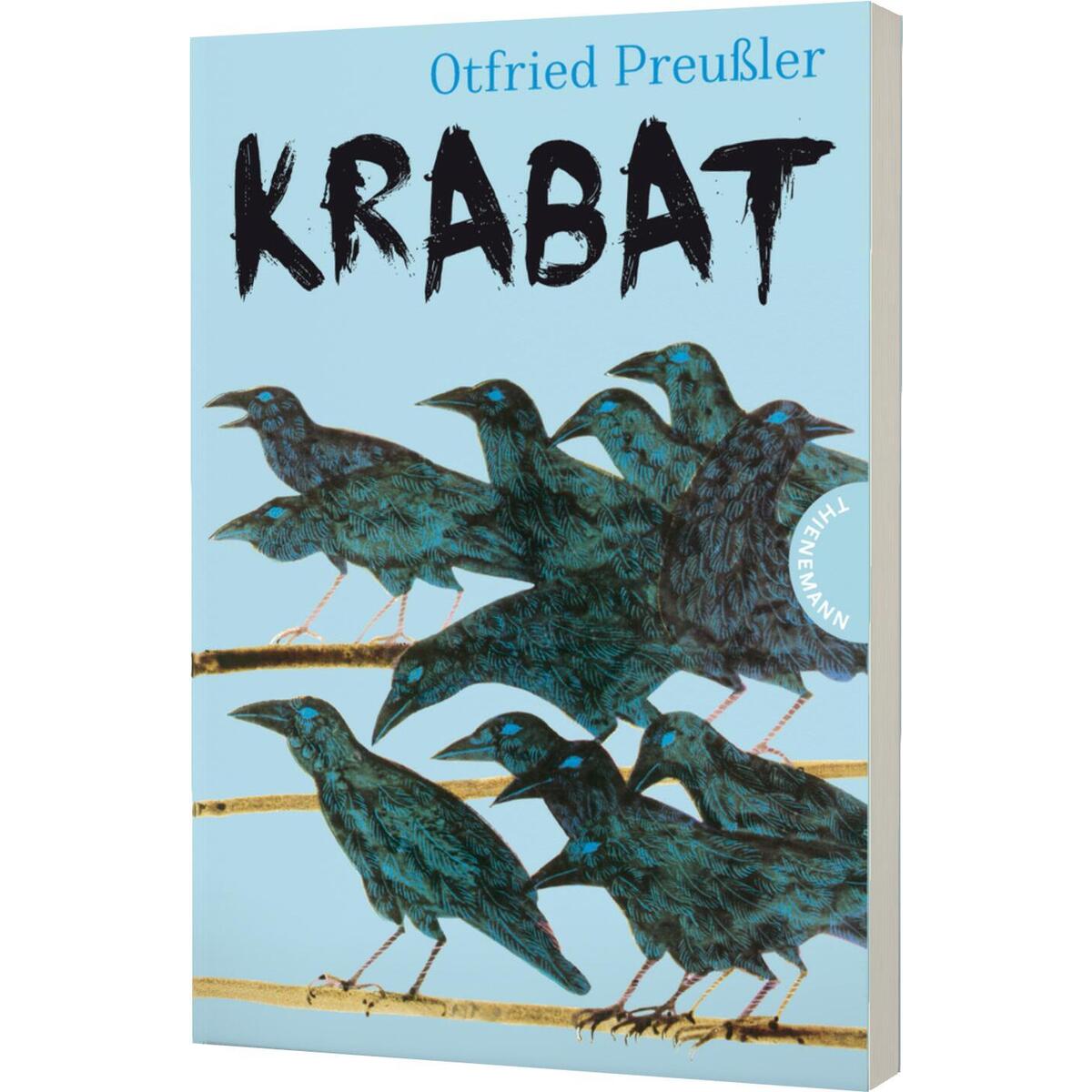 Krabat - Roman von Thienemann