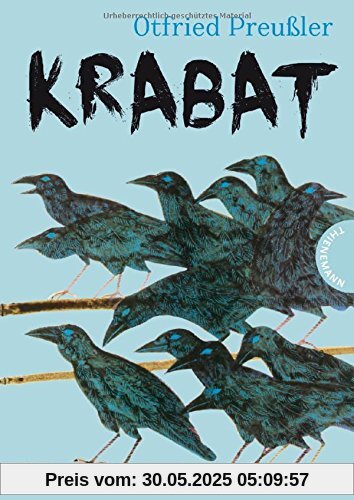 Krabat: Roman