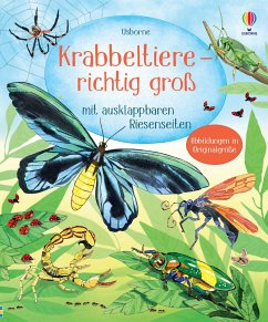 Krabbeltiere - richtig groß von Usborne Verlag