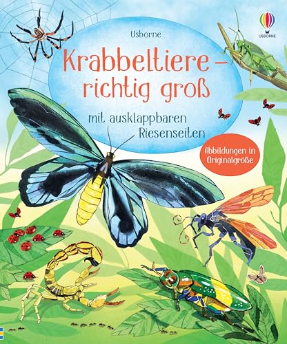 Krabbeltiere - richtig groß: mit ausklappbaren Riesenseiten – Sachbilderbuch zum Thema Insekten – für Kinder ab 4 Jahren von Usborne Publishing