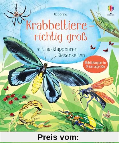 Krabbeltiere - richtig groß: mit ausklappbaren Riesenseiten – Sachbilderbuch zum Thema Insekten – für Kinder ab 4 Jahren