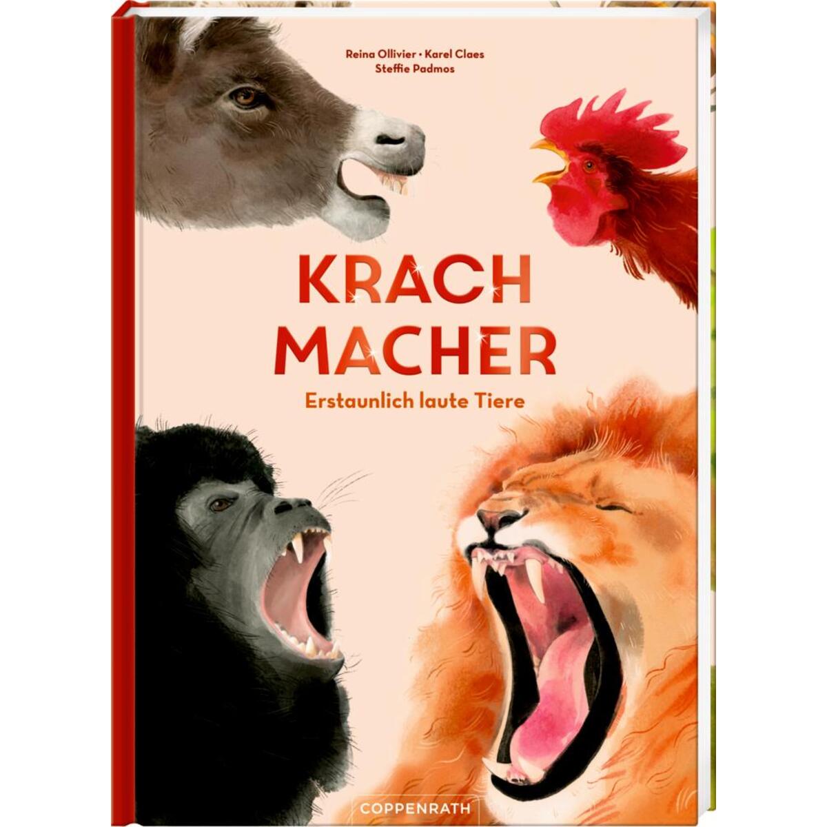 Krachmacher Krachmacher von Coppenrath F