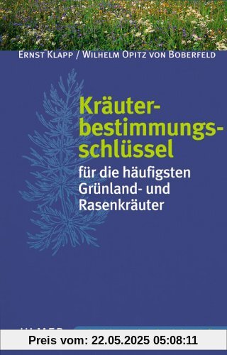 Kräuterbestimmungsschlüssel für die häufigsten Grünland- und Rasenkräuter Kräuterbestimmungsschlüssel für die häufigsten Grünland- und Rasenkräuter
