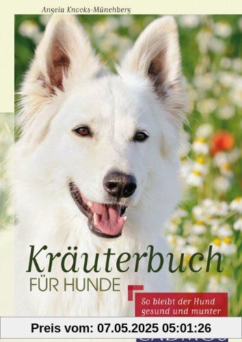 Kräuterbuch für Hunde: So bleibt der Hund gesund und munter