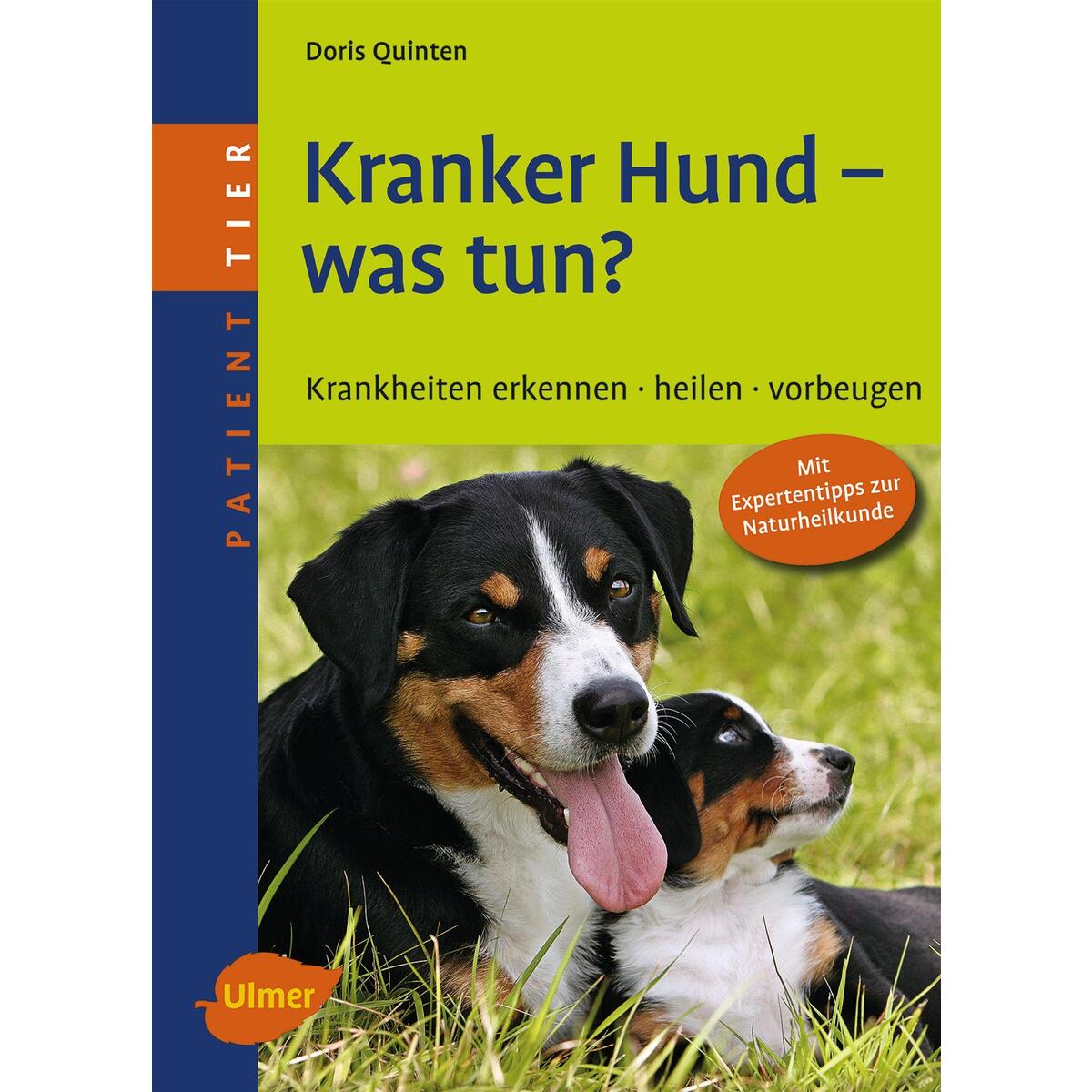 Kranker Hund - was tun? von Ulmer Eugen Verlag