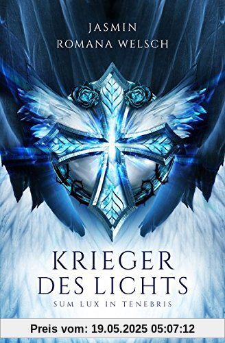 Krieger des Lichts (Band 2): Sum lux in tenebris