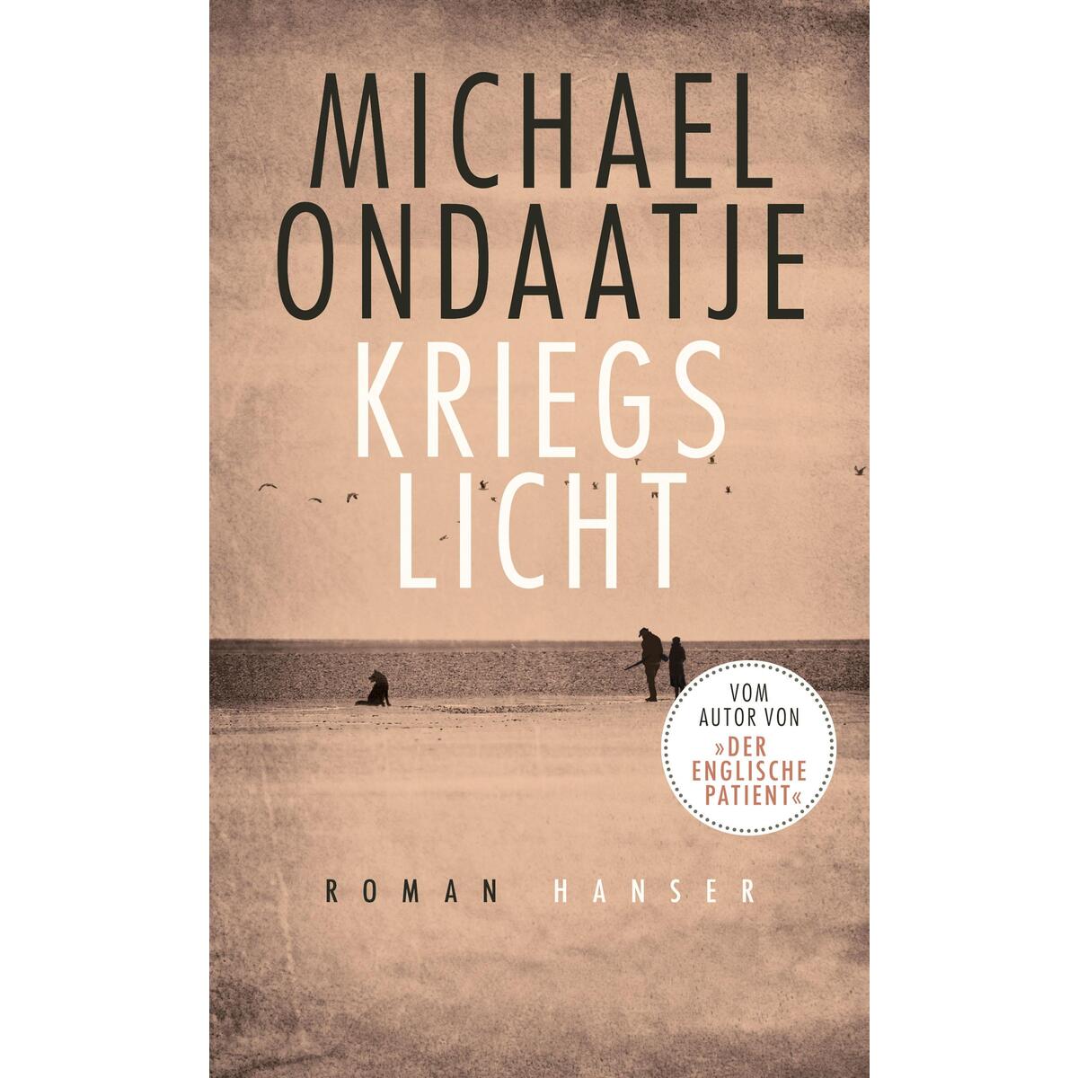 Kriegslicht von Carl Hanser Verlag