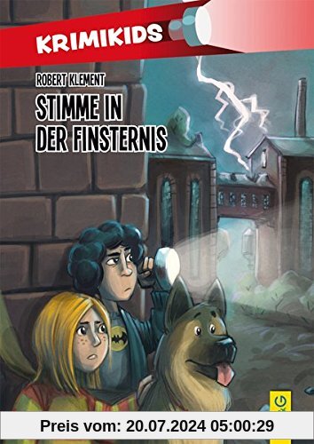 KrimiKids - Stimme in der Finsternis (KrimiKids / Lesemotivation mit einem jungen österreichischen AutorInnenteam)