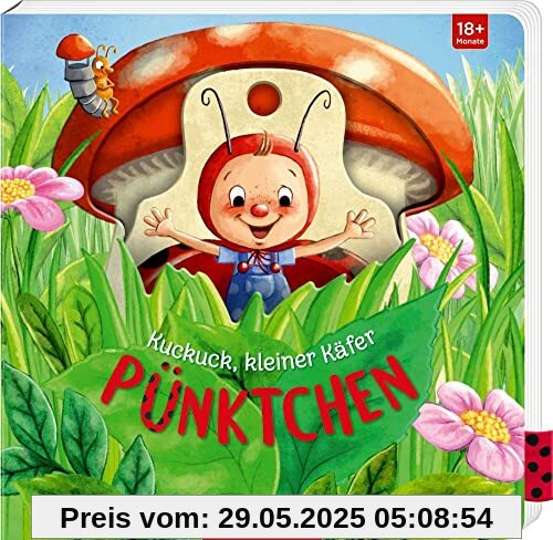 Kuckuck, kleiner Käfer Pünktchen Kuckuck, kleiner Käfer Pünktchen