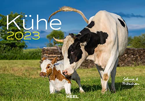 Kühe 2023: Der sympathische Kuh-Kalender mit den charmanten Namen