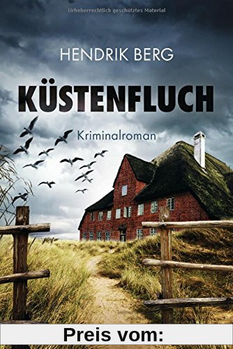 Küstenfluch: Kriminalroman (Ein Fall für Theo Krumme, Band 3)