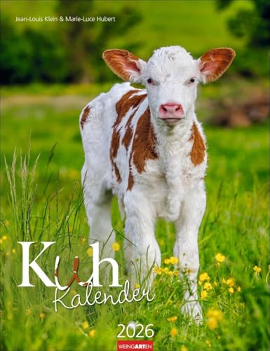 Kuh Kalender 2026: Foto-Wandkalender von den renommierten Tierfotografen Jean-Louis Klein und Marie-Luce Hubert. Süße Kälbchen und ländliche Idylle mit Planer. 30x39 cm (Tierkalender Weingarten) von Weingarten
