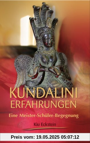 Kundalini-Erfahrungen - Eine Meiser-Schüler-Begegnung: Eine Meister-Schüler-Begegnung Kundalini-Erfahrungen - Eine Meiser-Schüler-Begegnung: Eine Meister-Schüler-Begegnung