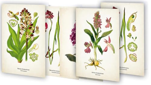 Kunstklappkarten "Zauberhafte Orchideen"