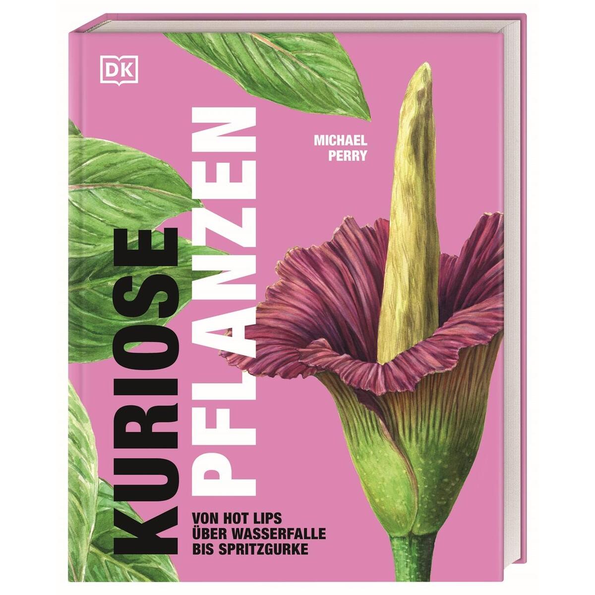 Kuriose Pflanzen Kuriose Pflanzen von Dorling Kindersley Verlag