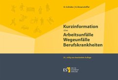 Kurzinformation über Arbeitsunfälle Wegeunfälle Berufskrankheiten von Erich Schmidt Verlag