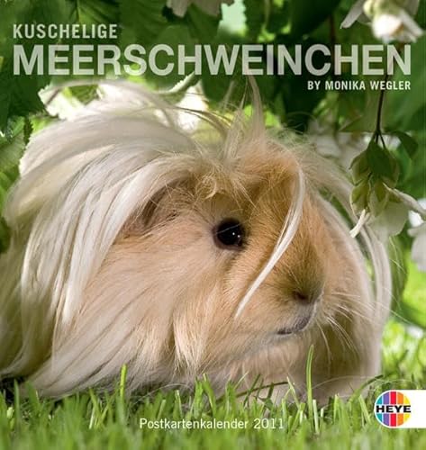 Meerschweinchen Postkartenkalender 2011 Meerschweinchen Postkartenkalender 2011 von Heye