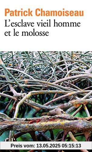 L'Esclave vieil homme et le molosse (Folio)