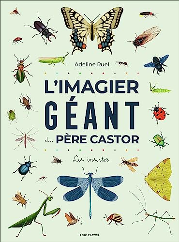L'Imagier géant du Père Castor: Les insectes von PERE CASTOR